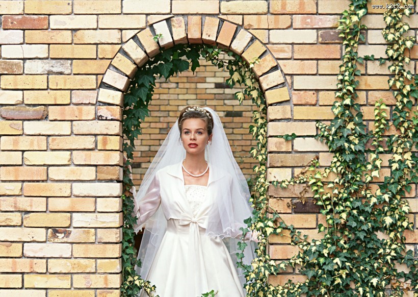 身穿白婚纱的新娘图片