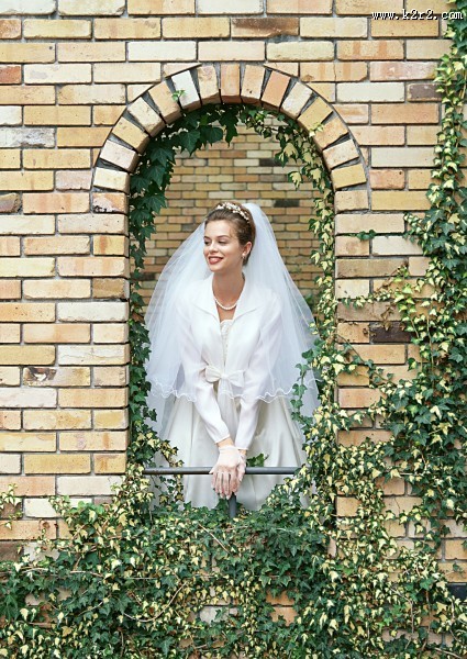 身穿白婚纱的新娘图片