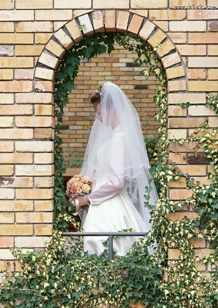 身穿白婚纱的新娘图片