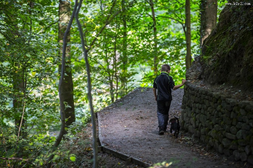 在草地上的孤独的小男孩图片