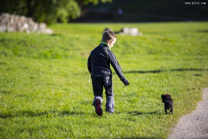 在草地上的孤独的小男孩图片