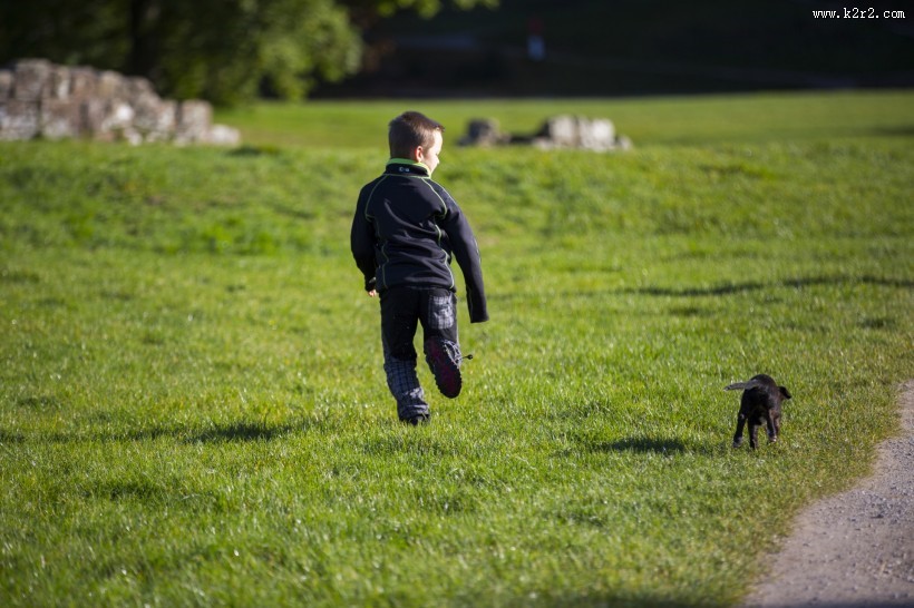 在草地上的孤独的小男孩图片