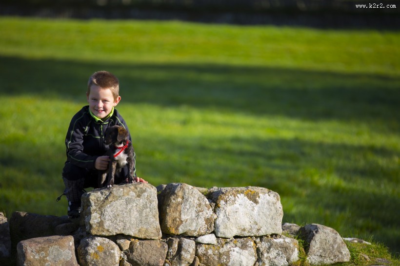 在草地上的孤独的小男孩图片