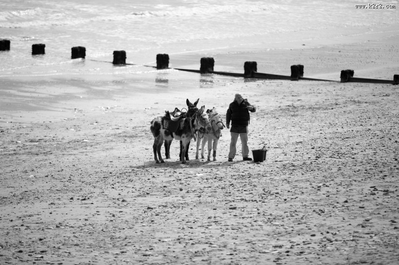 在沙滩上散步的人图片