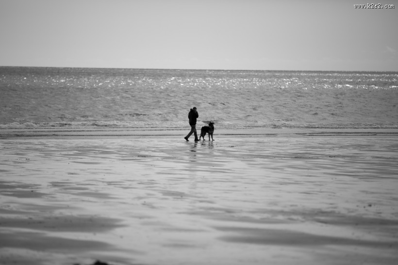 在沙滩上散步的人图片