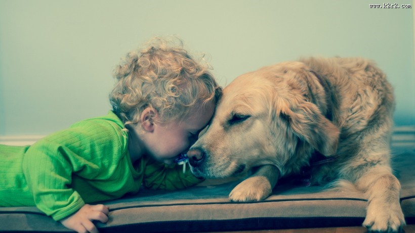 宝宝和狗狗温馨图片