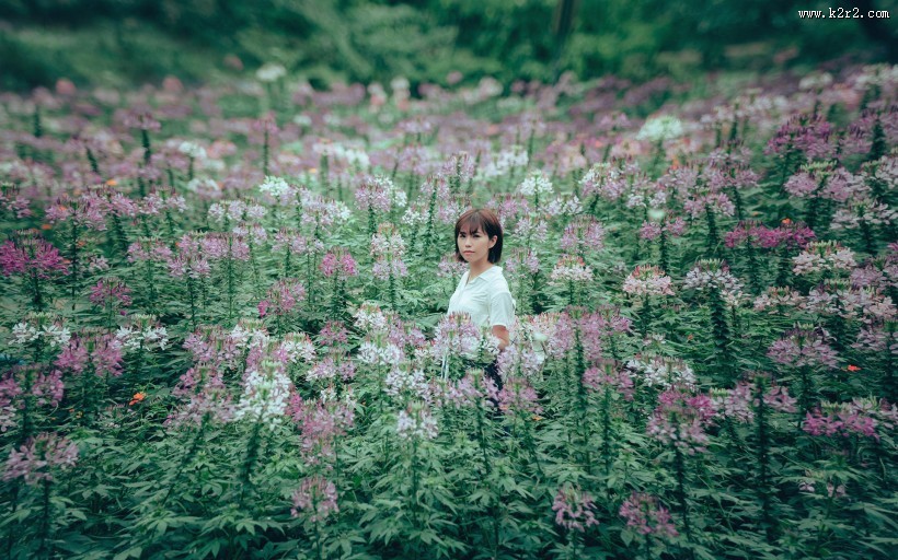 短发美女户外图片