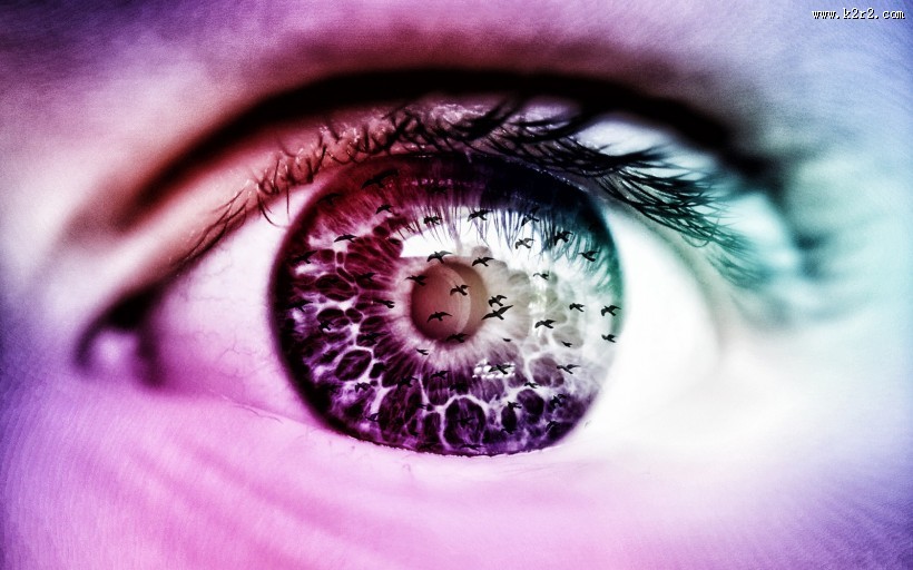 眼部特写图片大全
