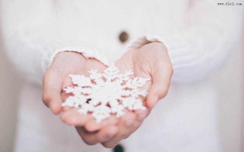手捧着花、草莓、生日蛋糕等图片
