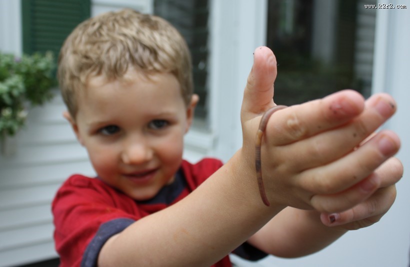 可爱的外国小男孩图片