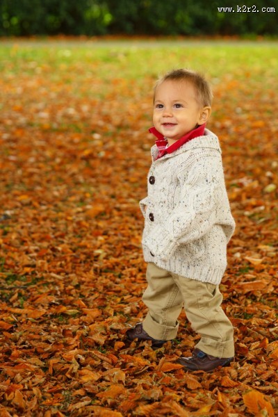 坐在枫叶上玩耍的可爱小男孩图片大全