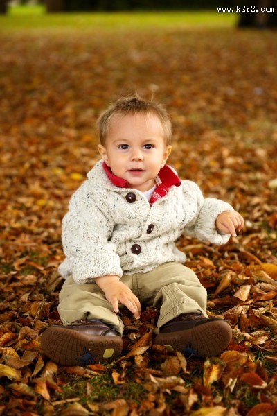 坐在枫叶上玩耍的可爱小男孩图片大全