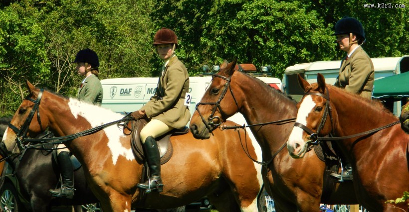骑马运动图片