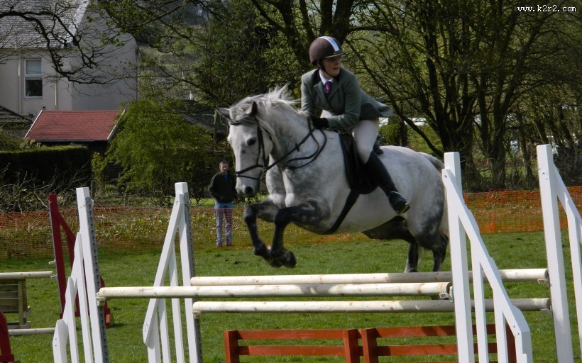 骑马跨栏比赛图片大全