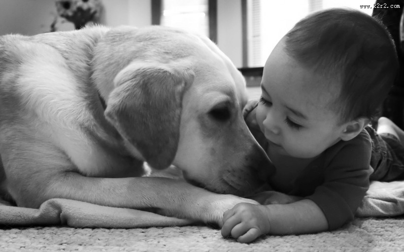 人与狗狗的亲密图片大全