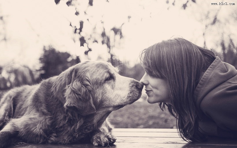 人与狗狗的亲密图片大全