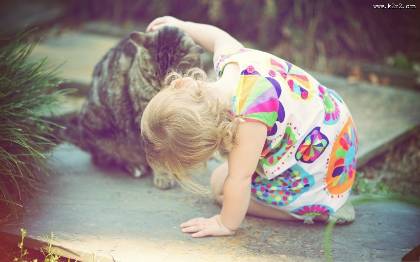 猫与人的友好图片