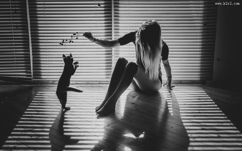 猫与人的友好图片