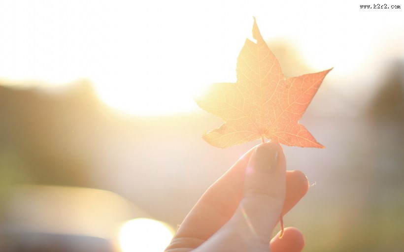 举着东西的手指图片