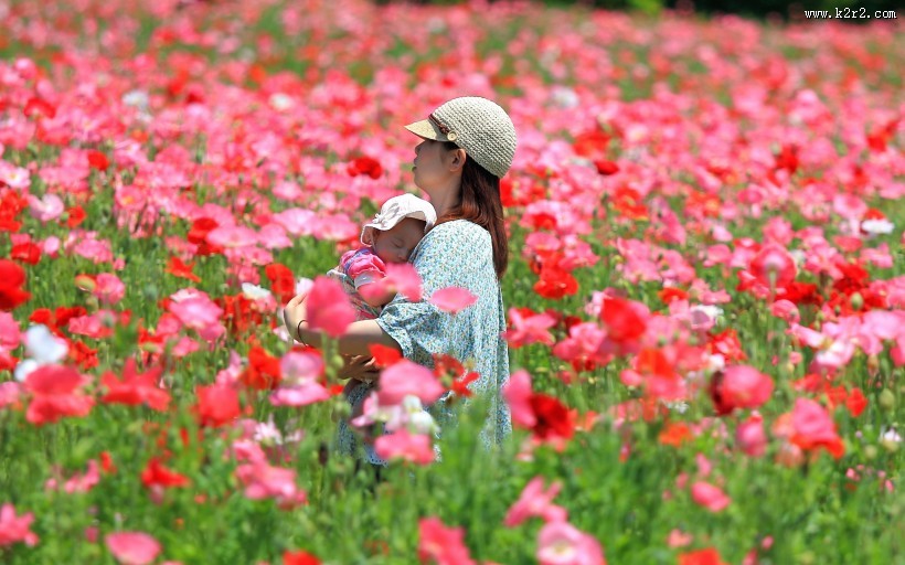 母亲节特辑-献给伟大的母亲