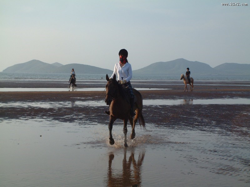 人与马友好图片大全