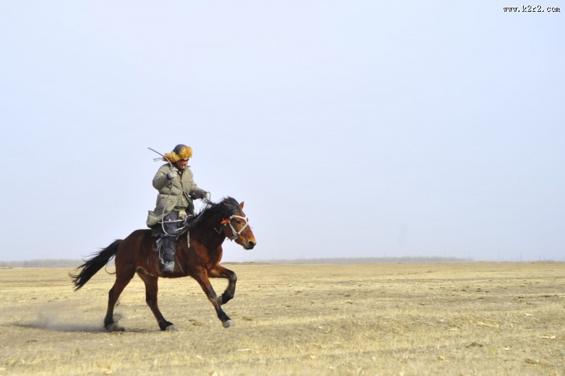 人与马友好图片大全