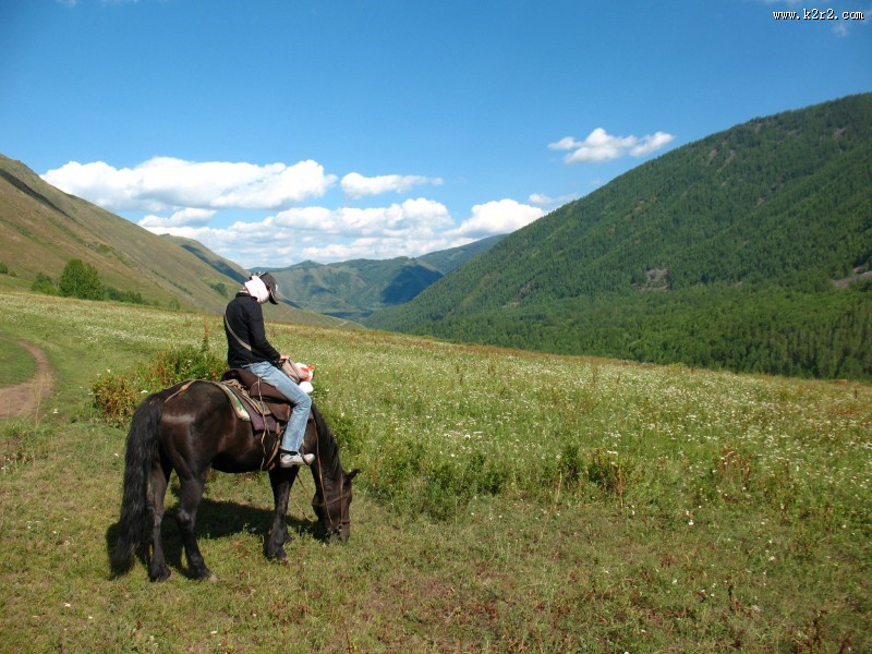 人与马友好图片大全