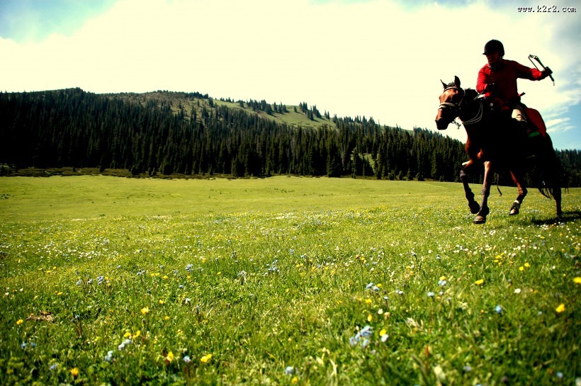 人与马友好图片大全