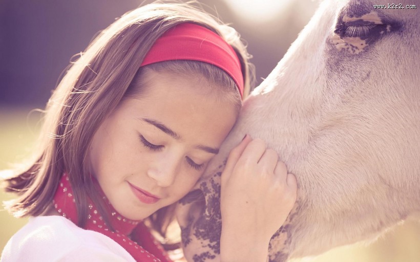 人与马友好图片大全