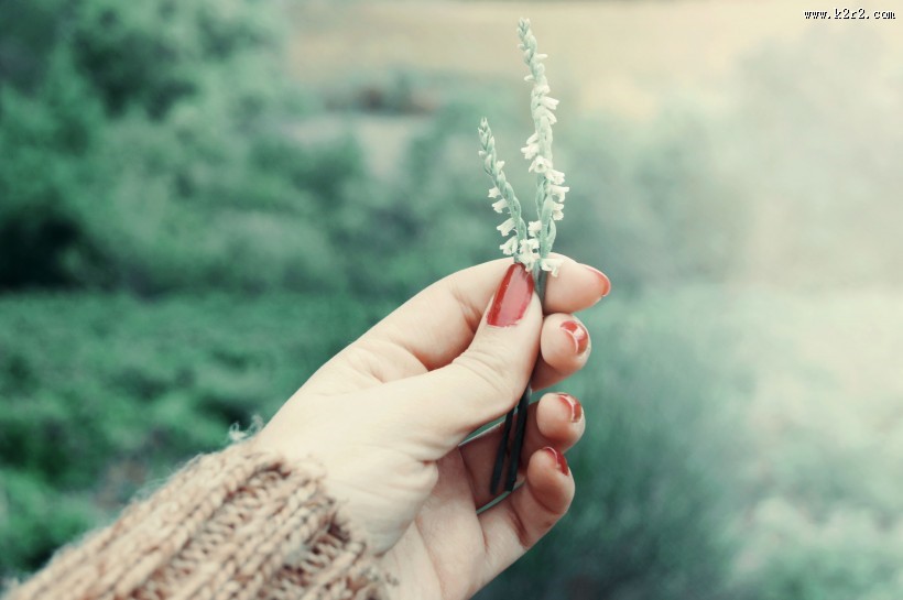 女性柔美手指图片