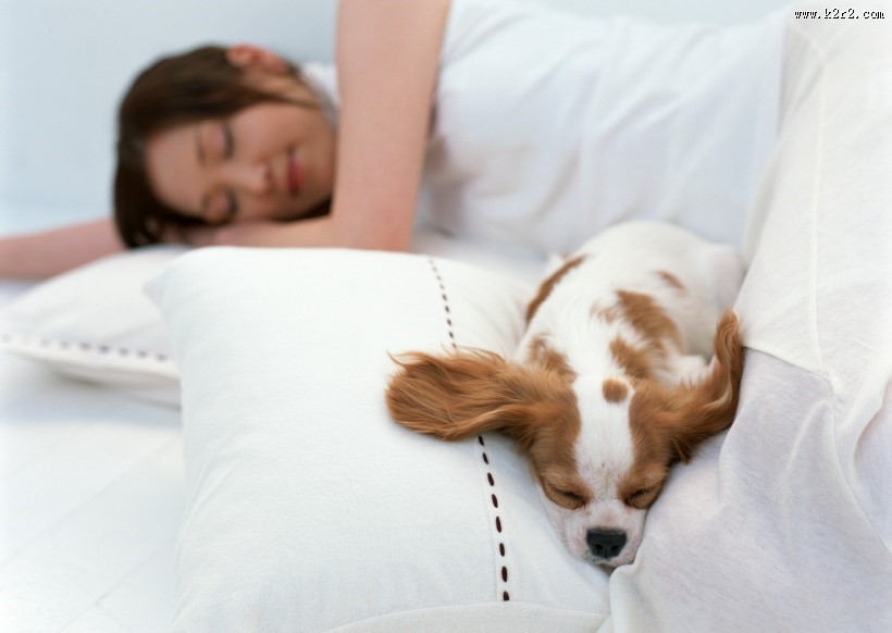 女性和宠物图片