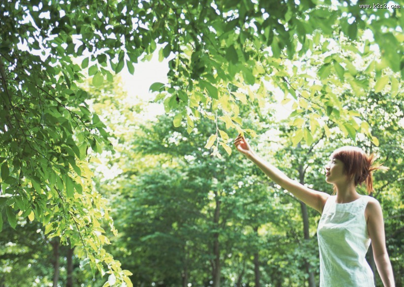 女性和绿色森林图片大全