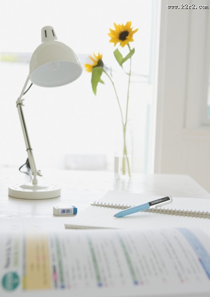 青少年学习上网图片