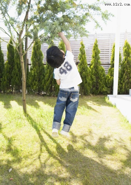 一家人草地玩耍图片