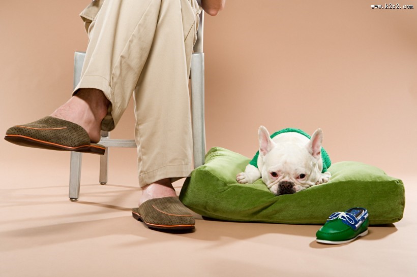 男性和宠物狗图片