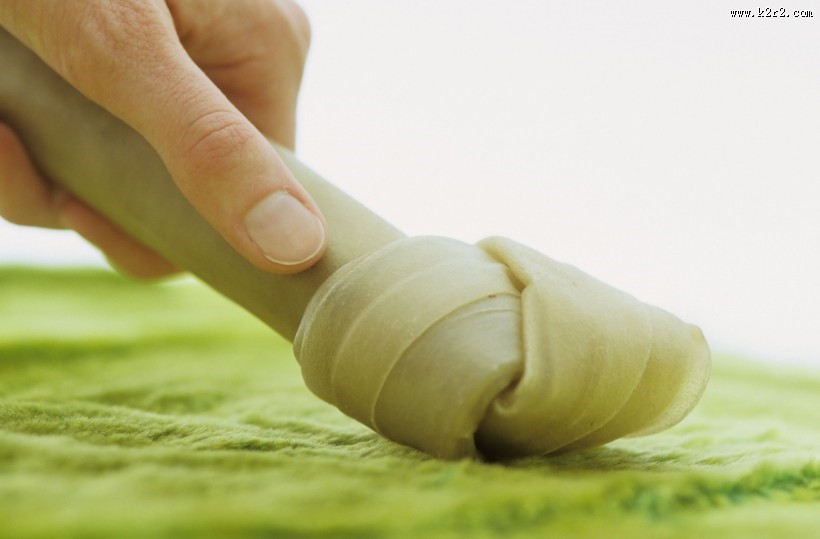 和宠物草地玩耍图片