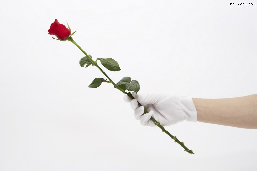 各行业手势图片大全