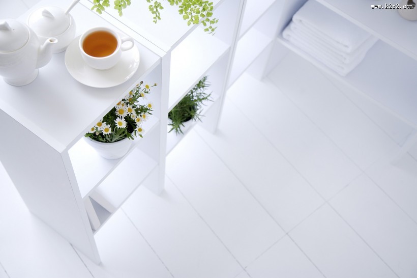 女性健康生活图片大全