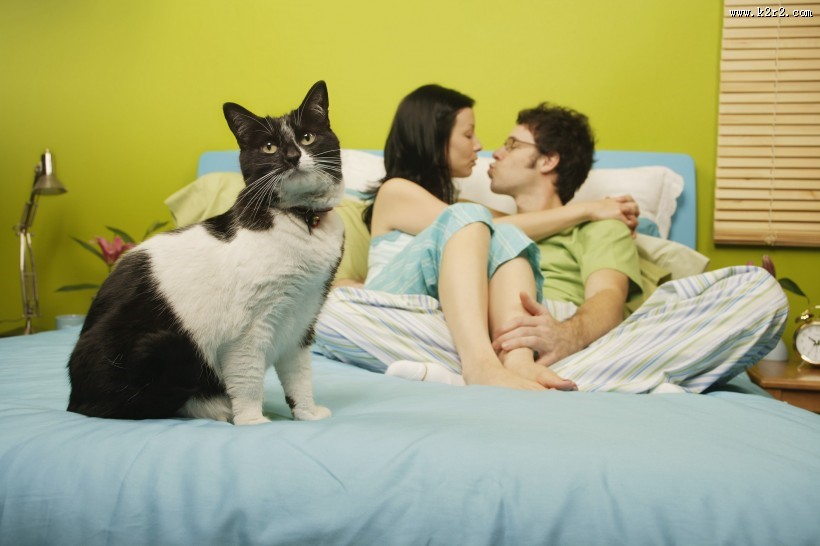 夫妻家中生活图片