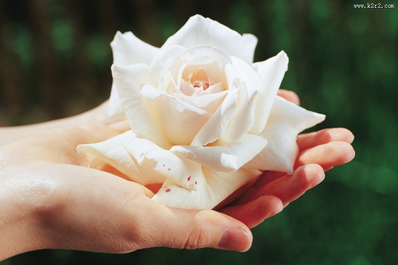 女性美容保养图片