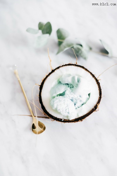 椰子的高清图片