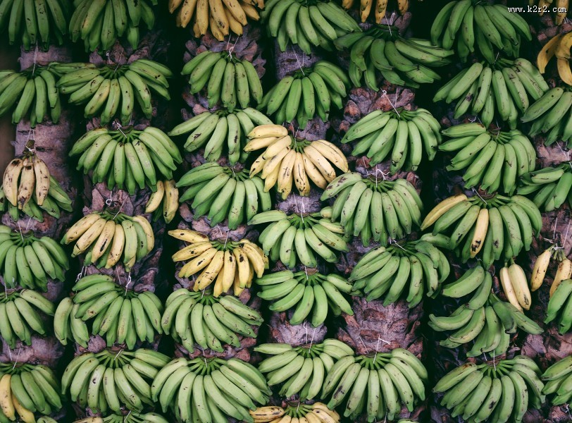 香蕉的特写图片