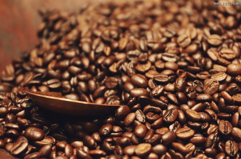 一堆咖啡豆的图片