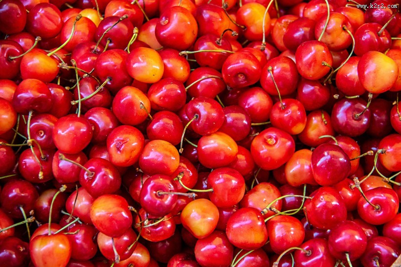 樱桃的特写图片大全
