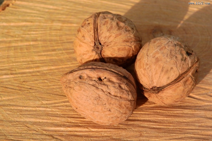 营养丰富的核桃图片