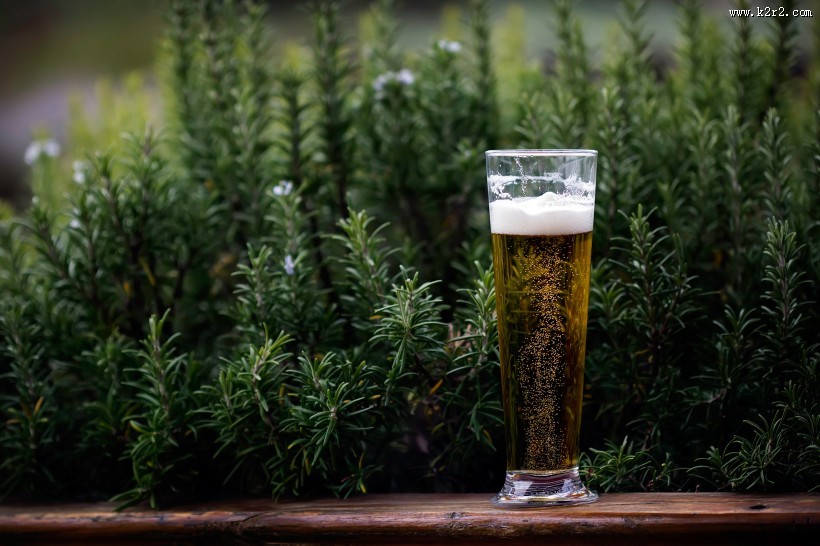 杯子里的冰冻啤酒图片大全