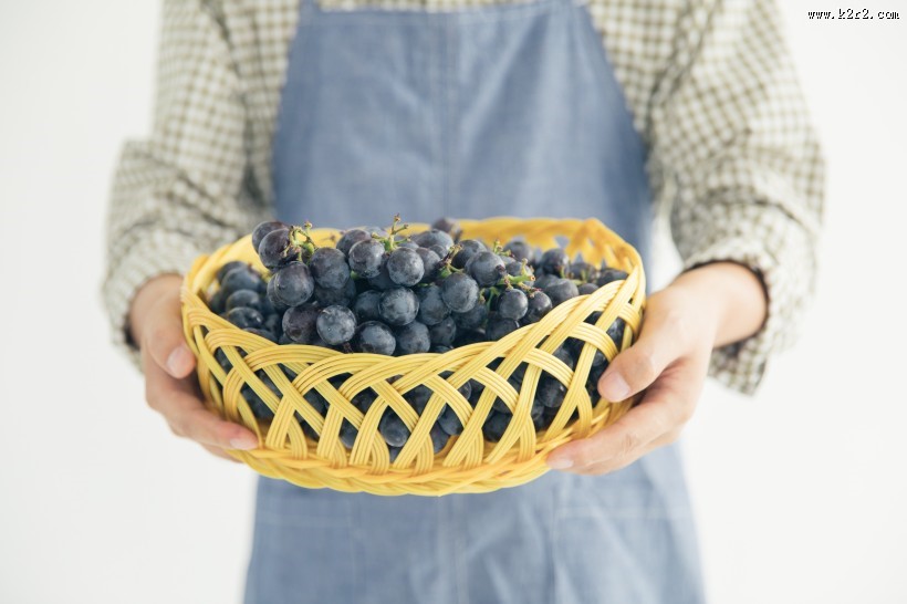手捧成熟丰收的葡萄图片