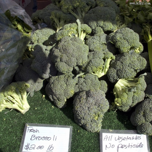 绿色新鲜的西兰花图片大全