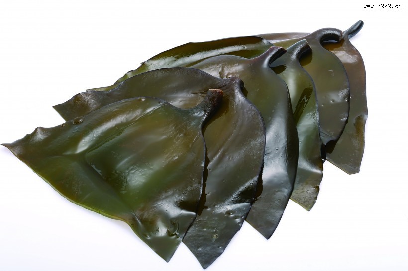 新鲜又营养适合各种做法的海带图片