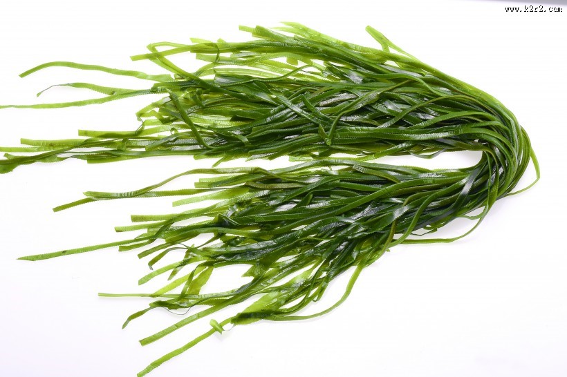 新鲜又营养适合各种做法的海带图片